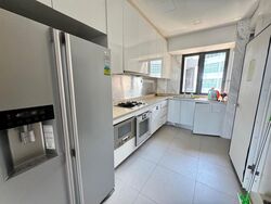 111 Emerald Hill (D9), Apartment #482506361